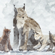 Illustration for article titled From Badger Simulator to Lynx Simulator